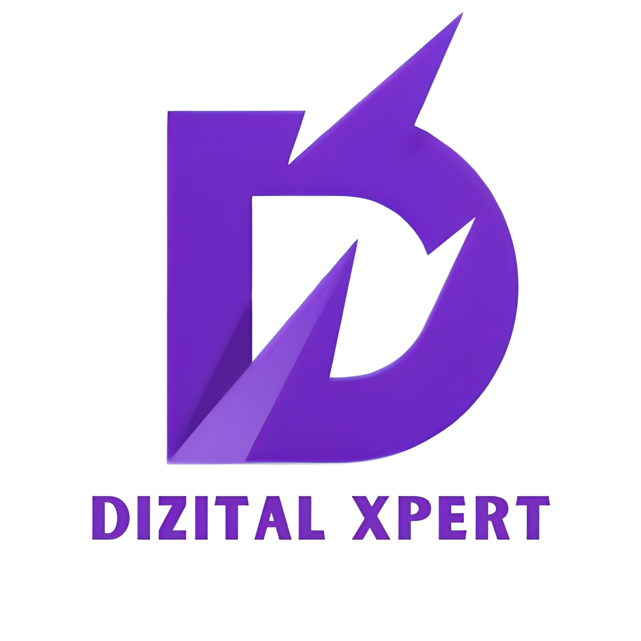 DizitalXpert